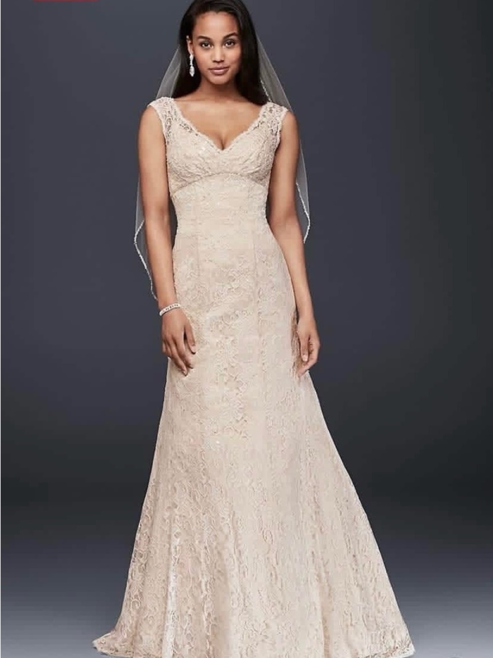 David's Bridal Lace V-Neck Cap Sleeve Wedding Gown in Champagne